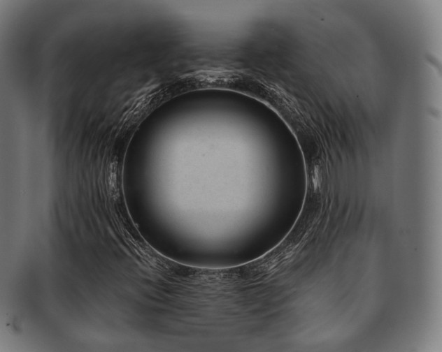X0000091901396200709051353