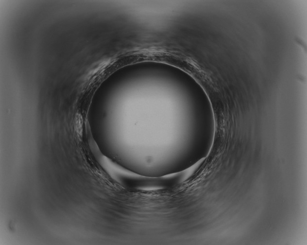 X0000091901398200709051353