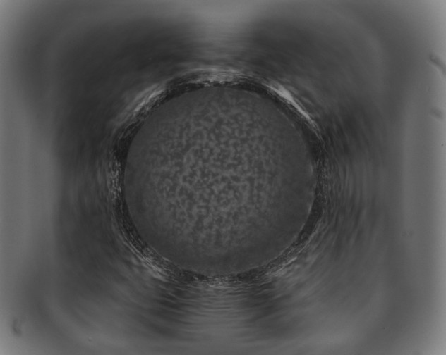 X0000091901399200709051353