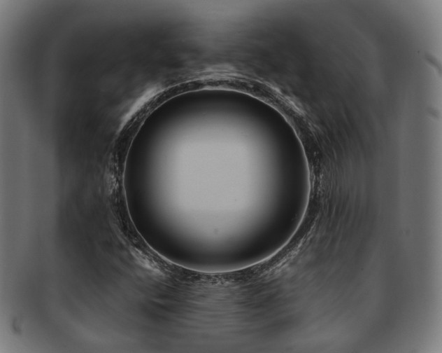 X0000091901400200709051353