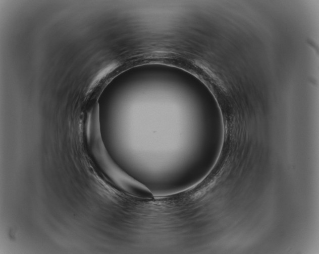 X0000091901402200709051353