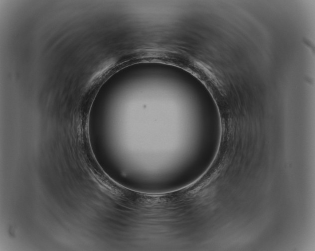X0000091901403200709051353