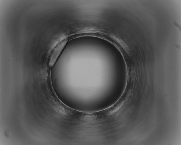X0000091901406200709051353