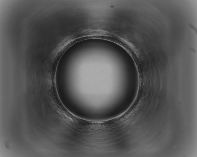 X0000091901407200709051354