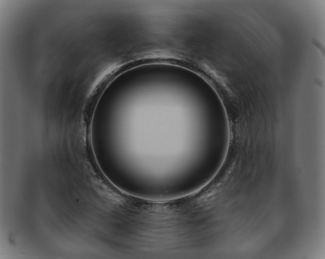 X0000091901408200709051354