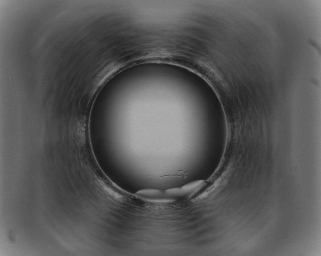 X0000091901409200709051354