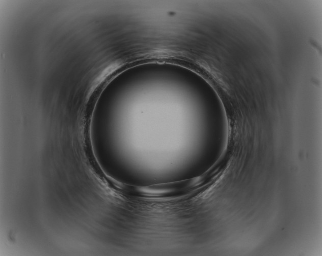 X0000091901410200709051354