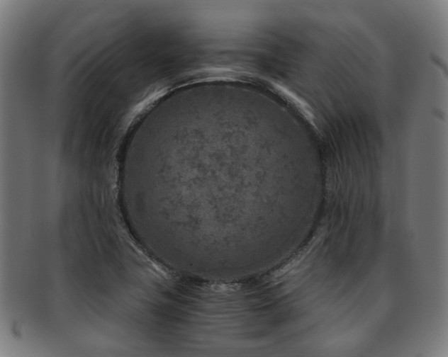 X0000091901411200709051354