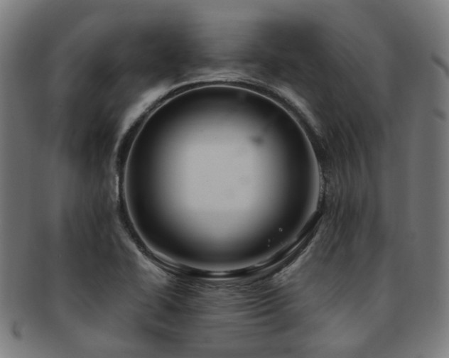 X0000091901414200709051354