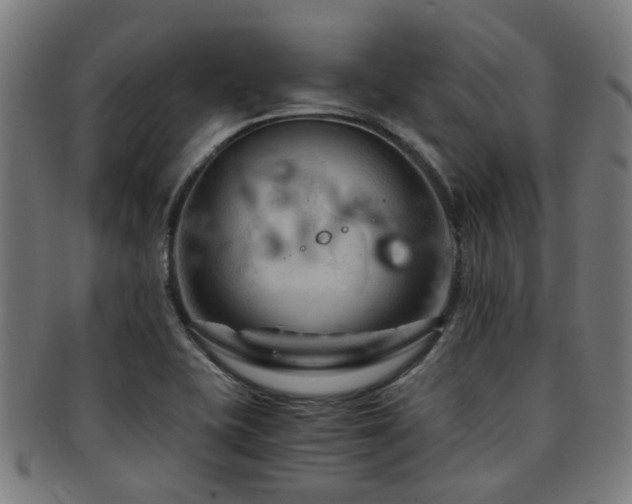 X0000091901415200709051354