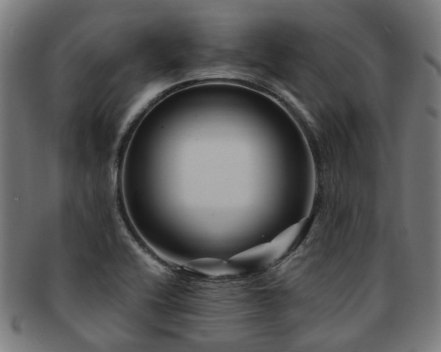 X0000091901416200709051354