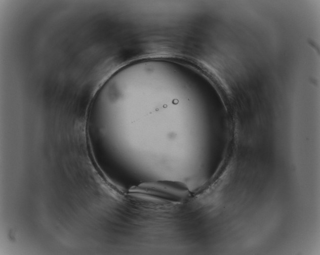 X0000091901417200709051354
