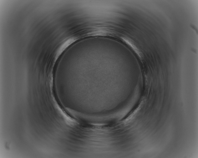 X0000091901418200709051354