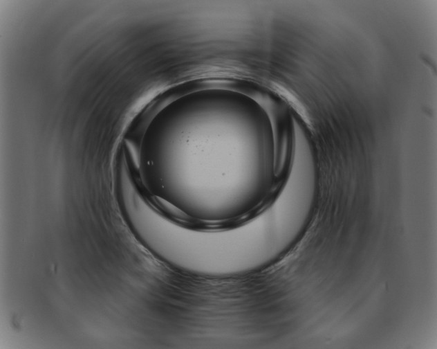 X0000091901419200709051354
