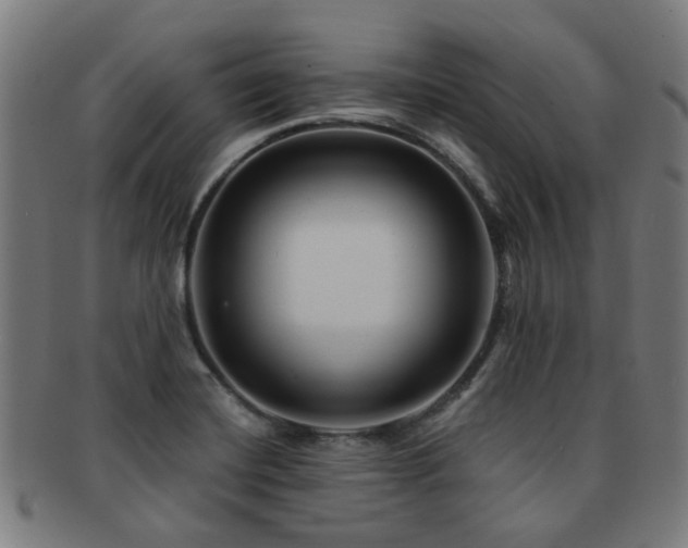 X0000091901420200709051354