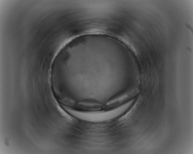 X0000091901421200709051354