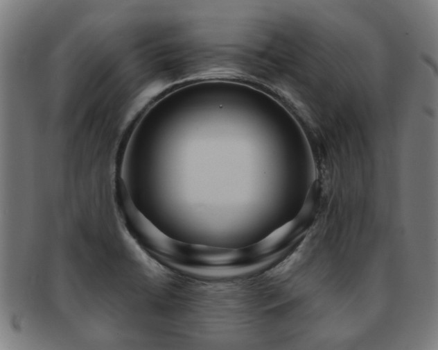 X0000091901422200709051354