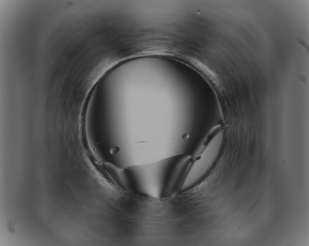 X0000091901423200709051354