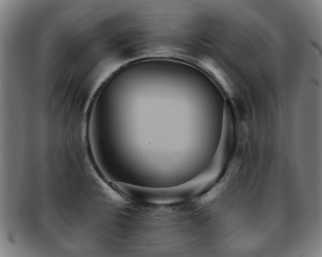 X0000091901424200709051354