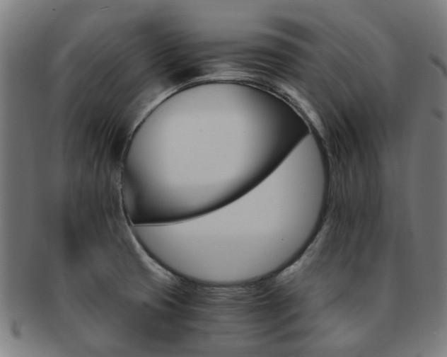 X0000091901425200709051354