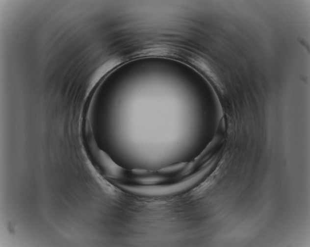 X0000091901426200709051354