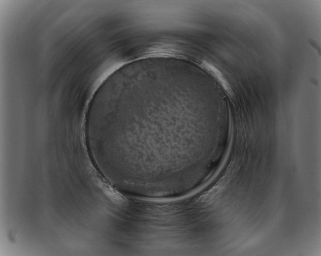 X0000091901427200709051354