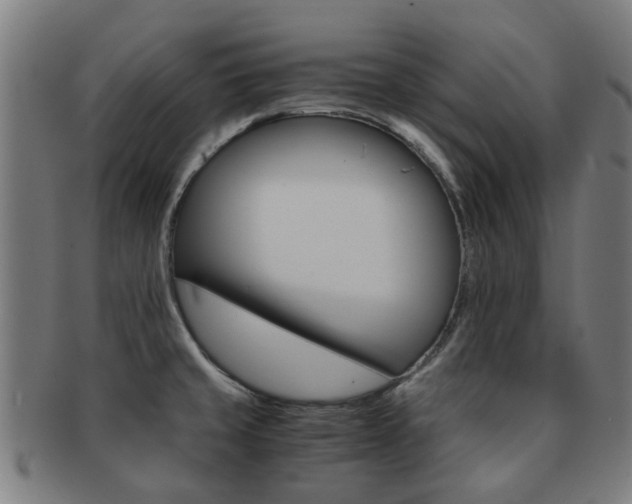 X0000091901429200709051354