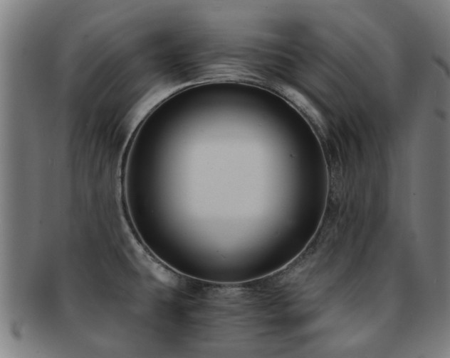 X0000091901431200709051354