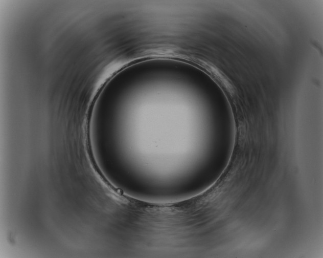 X0000091901432200709051354