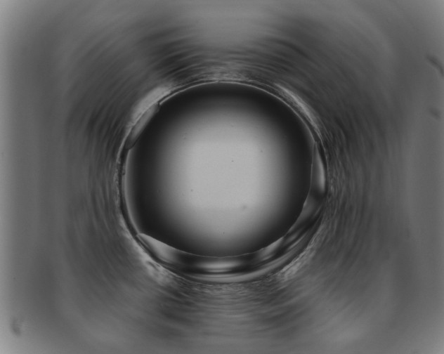 X0000091901434200709051354