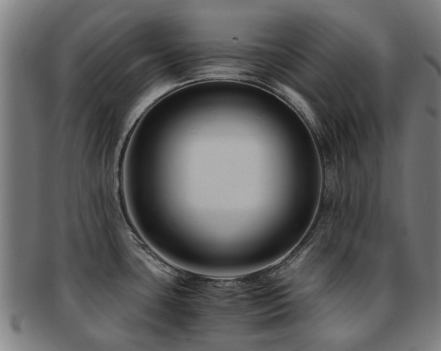 X0000091901435200709051354