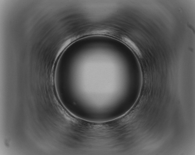 X0000091901436200709051354