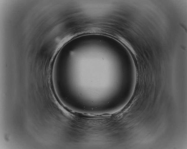 X0000091901437200709051354