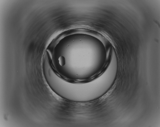 X0000091901438200709051354