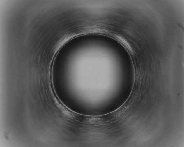X0000091901439200709051354