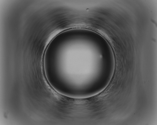 X0000091901440200709051354