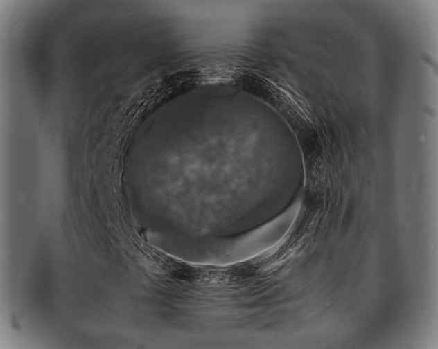 X0000091901441200709051353