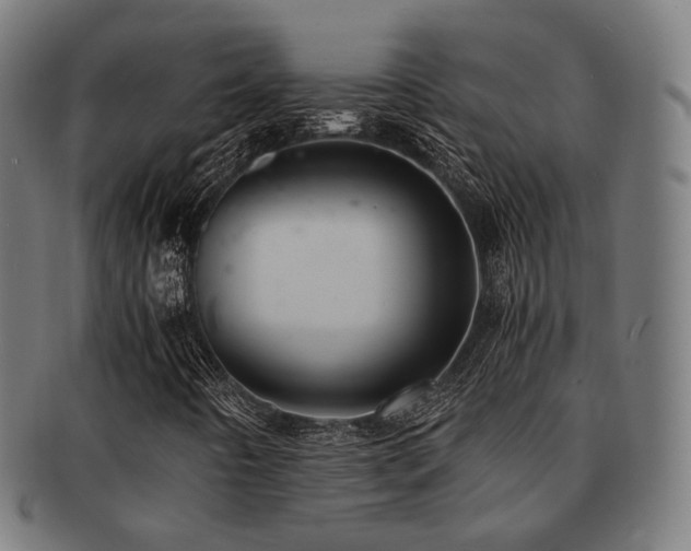 X0000091901442200709051353