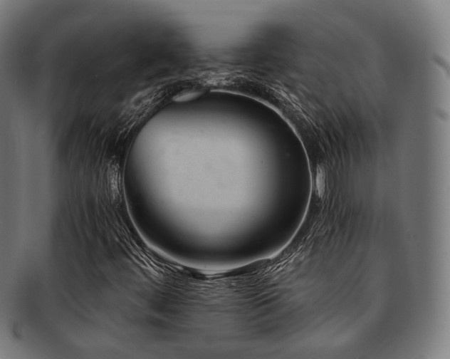 X0000091901444200709051353