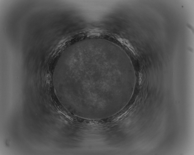 X0000091901445200709051353