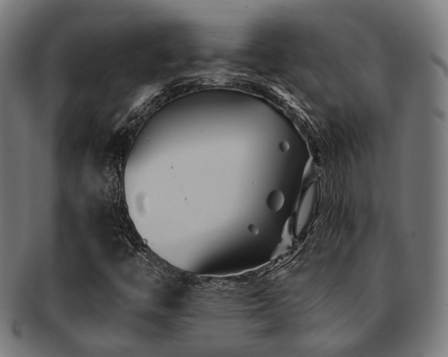 X0000091901446200709051353