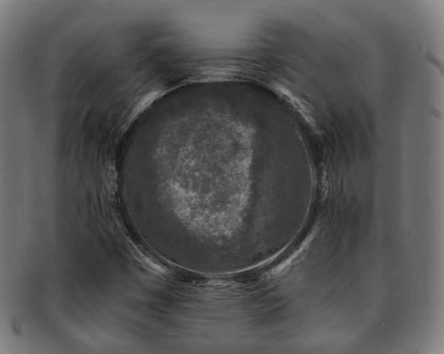X0000091901449200709051353