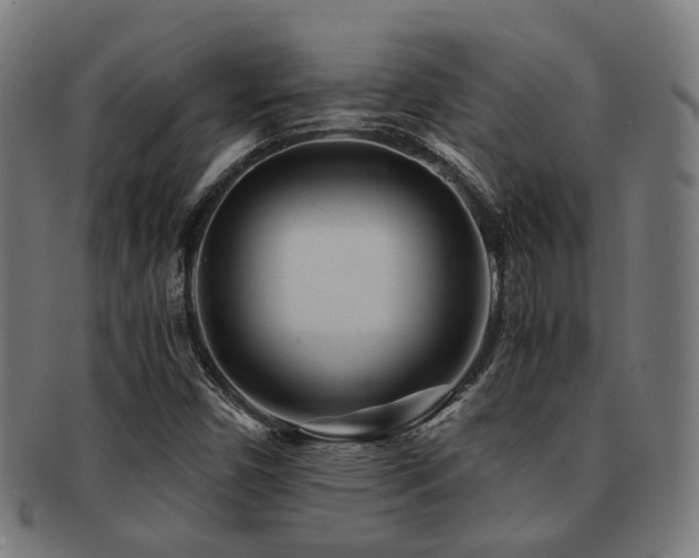 X0000091901450200709051353
