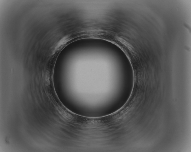 X0000091901451200709051353