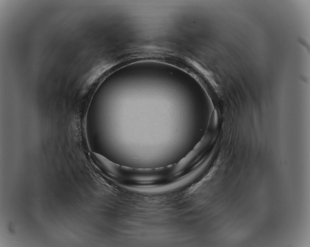 X0000091901453200709051353