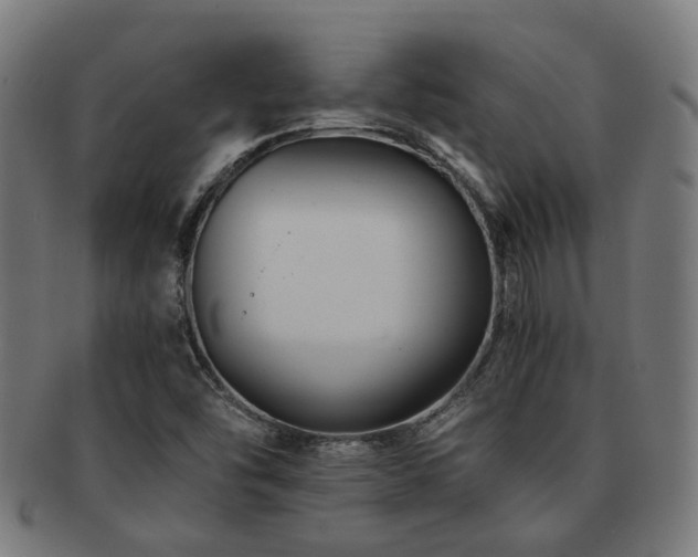 X0000091901454200709051353