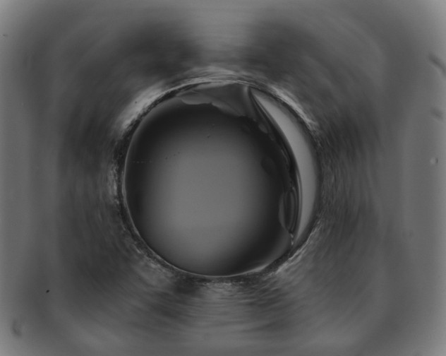 X0000091901455200709051353