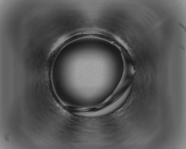 X0000091901456200709051353