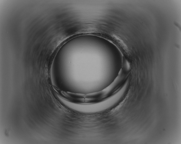 X0000091901457200709051353