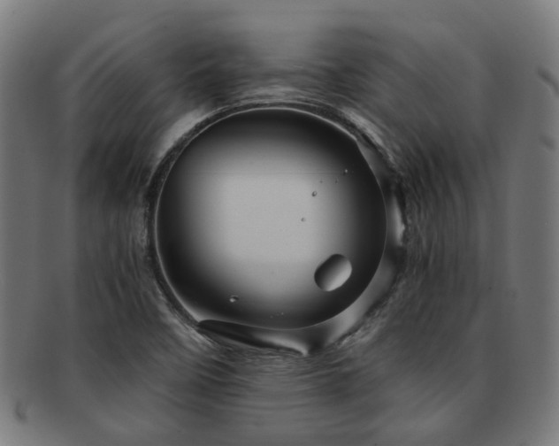 X0000091901458200709051353